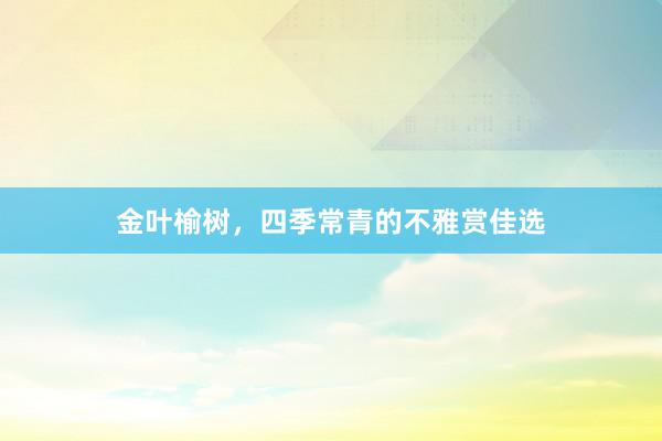 金叶榆树，四季常青的不雅赏佳选