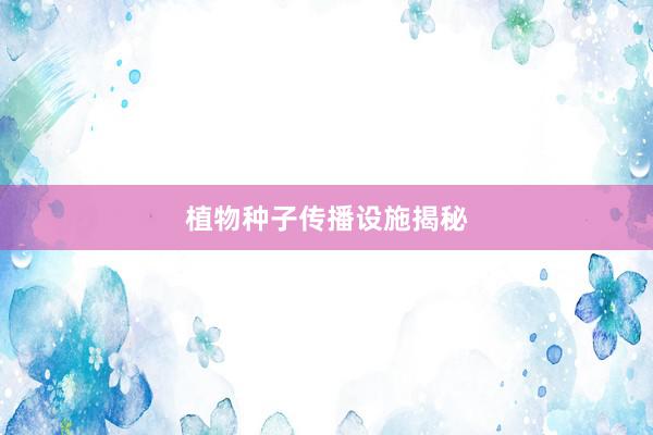 植物种子传播设施揭秘