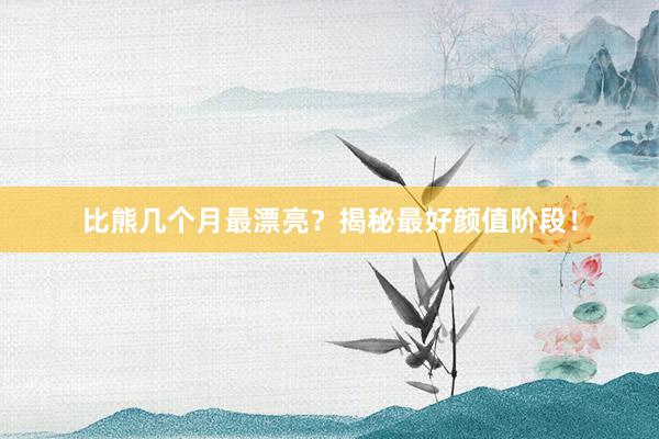 比熊几个月最漂亮？揭秘最好颜值阶段！