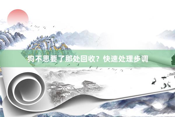 狗不思要了那处回收？快速处理步调