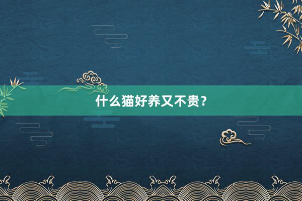 什么猫好养又不贵？